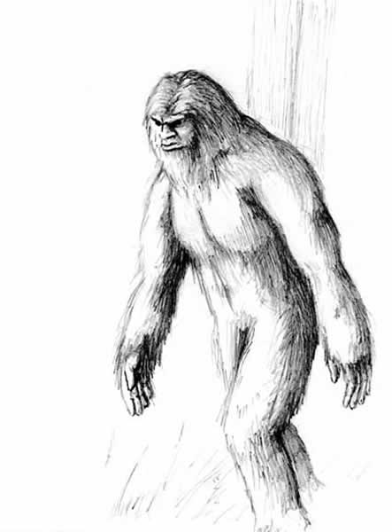 '“大脚怪”之谜：15000年前人类与灵长类动物杂交而成'