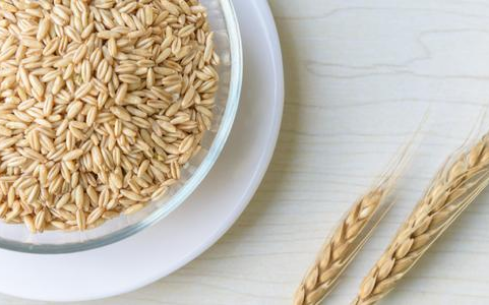 健康又营养的减肥佳品你值得拥有