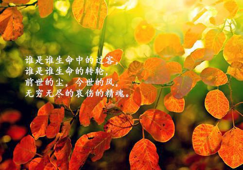 【热】描写秋天萧瑟景色的好段摘抄