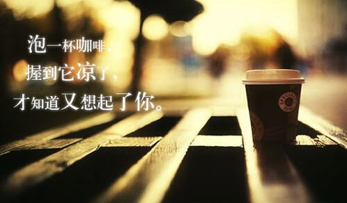 表达爱情句子(表达爱情句子)