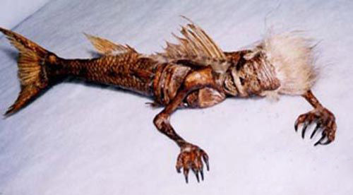 现实版的美人鱼图片黑鳞鲛人_未解之谜_情缘阅读网