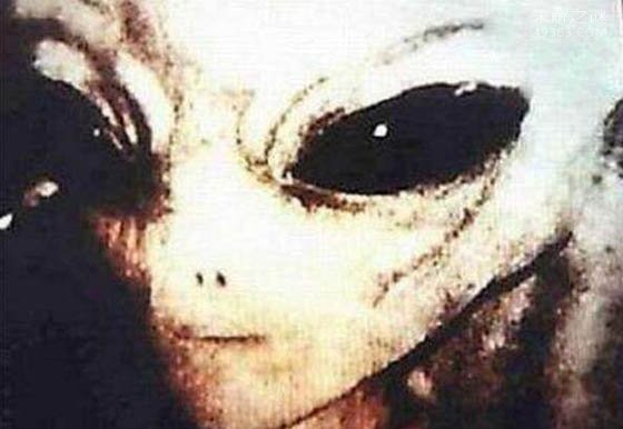 '巴西亚马逊外星人是真是假?研究人员分析出结果'