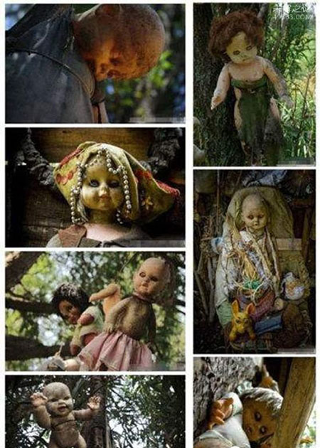 娃娃岛怎么回事一千个鬼娃娃遍布于岛上