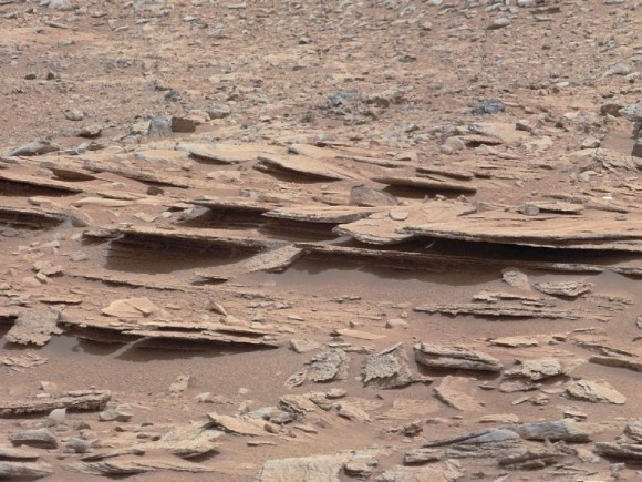 '地球微生物能在火星上生存(图)