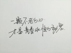 带哲理悟性好句子(有哲理带感悟的句子)