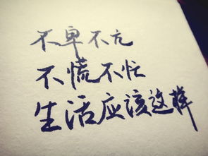 乐观生活句子(乐观生活句子)