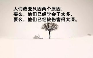 句句入骨的人生感悟句子(人生感悟句子句句入骨)