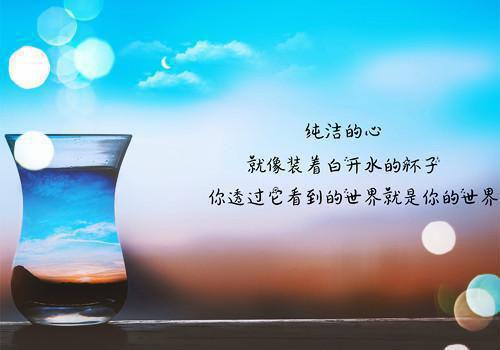 公司一人独资是否需设监事