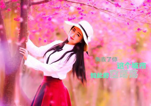 洛克王国3：圣龙的守护剧情介绍