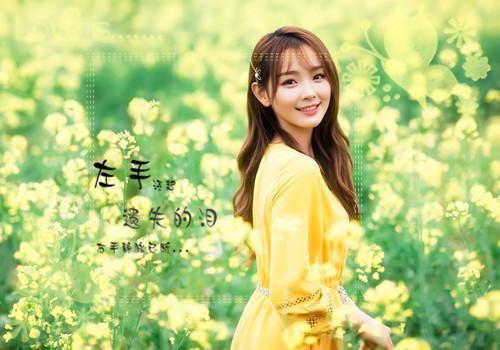 豆角肉丁卤怎么做