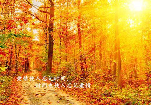 【热】描写秋天的好段摘抄3篇