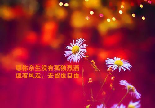 正月初二为何会叫叫“迎婿日”？它在中国民间有哪些谚语？