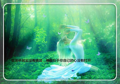 回到野人沙滩 Return to Savage Beach剧情介绍